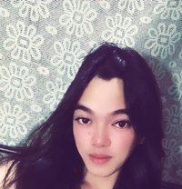 AyaShow - Acompañantes transexual in Manila