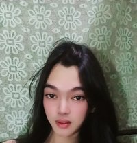 AyaShow - Acompañantes transexual in Manila