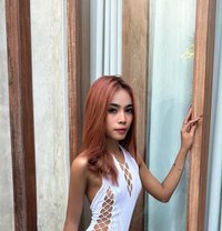 Ayda Tiny Girl With Tan Skin - escort in Bali