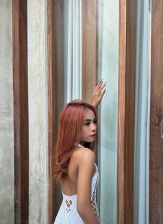Ayda Tiny Girl With Tan Skin - escort in Bali Photo 5 of 12