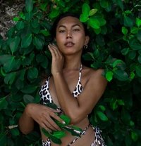 Sexy Bali Model, Ayden - Transsexual escort in Bali