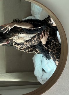 Ayesha Boo - escort in Dubai Photo 4 of 11