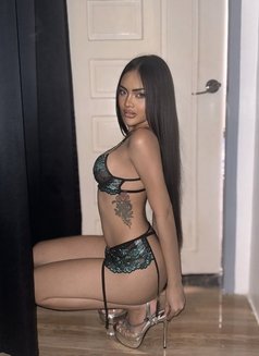 Sexy? Me? Ayesha🫦 - escort in Singapore Photo 12 of 20