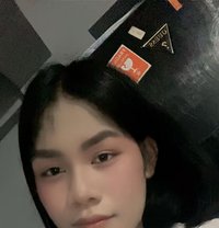 Ayesha - Transsexual escort in Manila