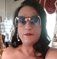 Ayesha - Acompañantes transexual in Pune