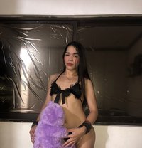 Ayesha, Your newest Fantasy in Manila - Transsexual escort in Manila