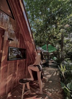 Ayesha Sebastian - Transsexual escort in Manila Photo 8 of 9