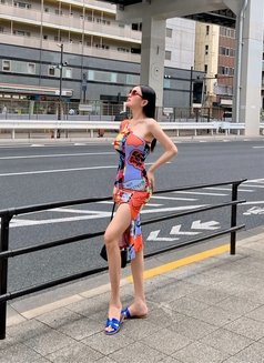 CRYSTAL NOW IN TOKYO 🇯🇵 - Acompañantes transexual in Tokyo Photo 14 of 30