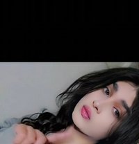 Ayham - Transsexual escort in Damascus