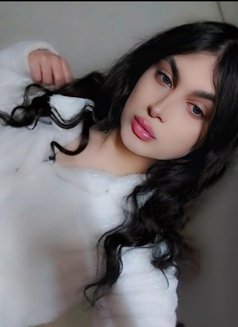 Ayham - Transsexual escort in Damascus Photo 6 of 6