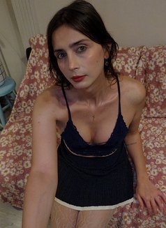 Ayla - Transsexual escort in İstanbul Photo 3 of 7