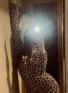 Aylah New - escort in Muscat Photo 4 of 5