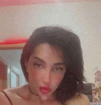 Ayloul Sexy - Acompañantes transexual in Casablanca