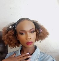 Ayra - Transsexual escort in Nairobi