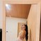 Ayramae - escort in Erbil
