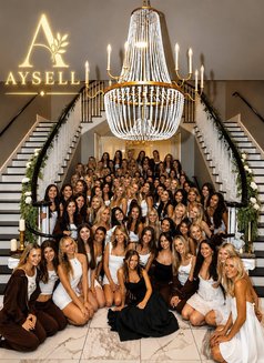Aysellvip - Acompañantes transexual in İstanbul Photo 1 of 6