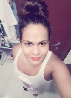 Aysha Transgender Girl🥰 - Acompañantes transexual in Colombo Photo 4 of 30