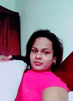 Aysha Transgender Girl🥰 - Acompañantes transexual in Colombo Photo 19 of 30