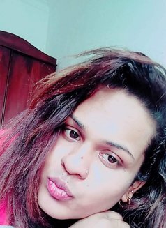 Aysha Transgender Girl🥰 - Acompañantes transexual in Colombo Photo 24 of 30