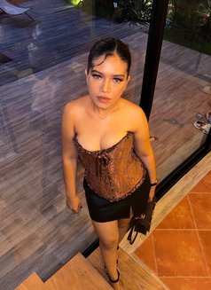 Ayu Arta best bj and squirt - escort in Bali Photo 18 of 18