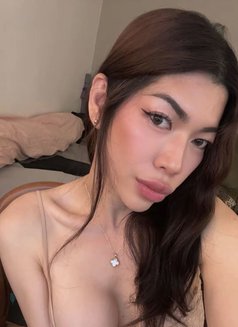 Ayumi - Transsexual escort in Paris Photo 14 of 14