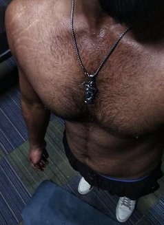 Ayush - Intérprete masculino de adultos in New Delhi Photo 3 of 3