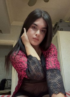 Aziş - Acompañantes transexual in İstanbul Photo 8 of 8