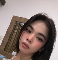 Azizi - Transsexual escort in Bali