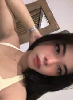 Azizi - Transsexual escort in Bali Photo 5 of 12