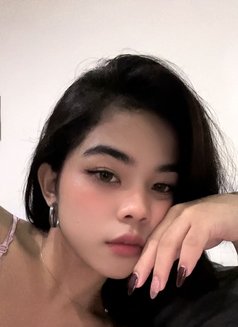 Azizi - Transsexual escort in Bali Photo 10 of 12