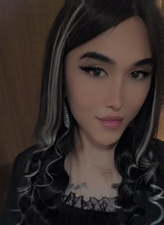 Aznura Russia 19 Cm - Acompañantes transexual in İstanbul Photo 11 of 11