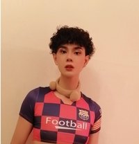 Ali Sohar - Transsexual escort in Al Sohar