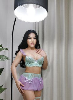 🦋 B A R E W 🦋 - Transsexual escort in Dammam Photo 3 of 16