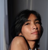 superBB - Transsexual escort in Bangkok