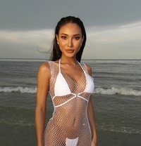 B Bee - Acompañantes transexual in Singapore