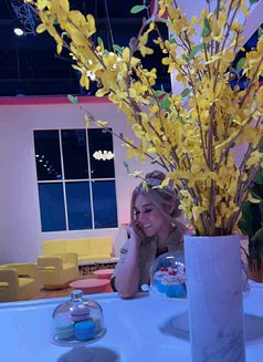 Cute 250/2 - escort in Doha Photo 1 of 4