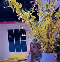 Cute 250/2 - puta in Doha