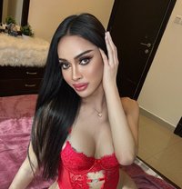 BaBaRa 7.9 fuck hard - Acompañantes transexual in Al Manama