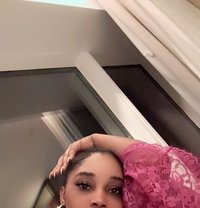 Terra - escort in Gurgaon