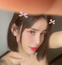 Babe Lexia - Transsexual escort in Bangkok
