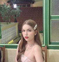 Babe Mint - escort in Phuket