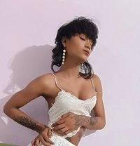 Babe Mona - Transsexual escort in Mumbai