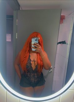 Babe Rose - escort in Cape Town Photo 5 of 6