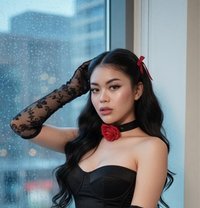 ( babe ) your dream girl ( new ) - escort in Kuala Lumpur Photo 8 of 17