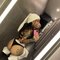 Babeby Asain / Be there on 4th - escort in Okinawa Island Photo 4 of 12