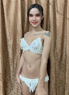 Fatin New ladyboy thailand Good service - Acompañantes transexual in Muscat Photo 7 of 12
