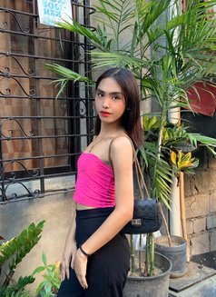 Babivenus - Acompañantes transexual in Manila Photo 1 of 1