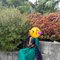 Bablu - Transsexual escort in Bangalore Photo 2 of 2