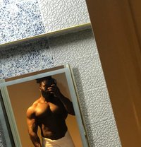 Baboooonz - Acompañantes masculino in Cairo