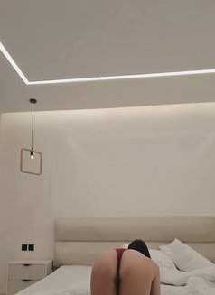 Baby angel - escort in Riyadh Photo 6 of 6